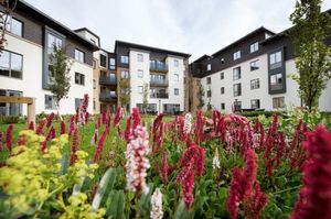 Jenner Court- click for photo gallery
